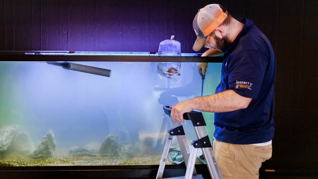 serenity service tech cleaning a cloudy aquarium