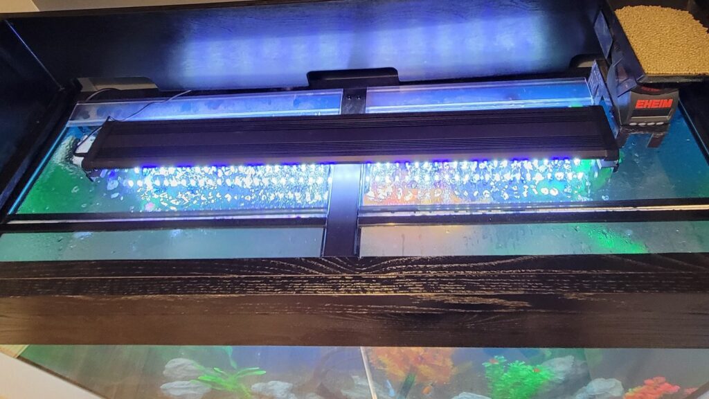 top view of fish tank lights